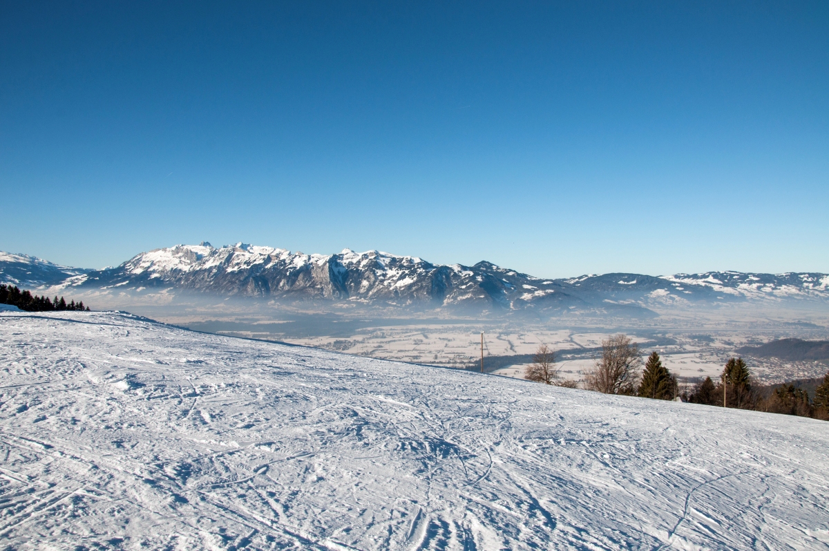 _dsc032731jce.jpg