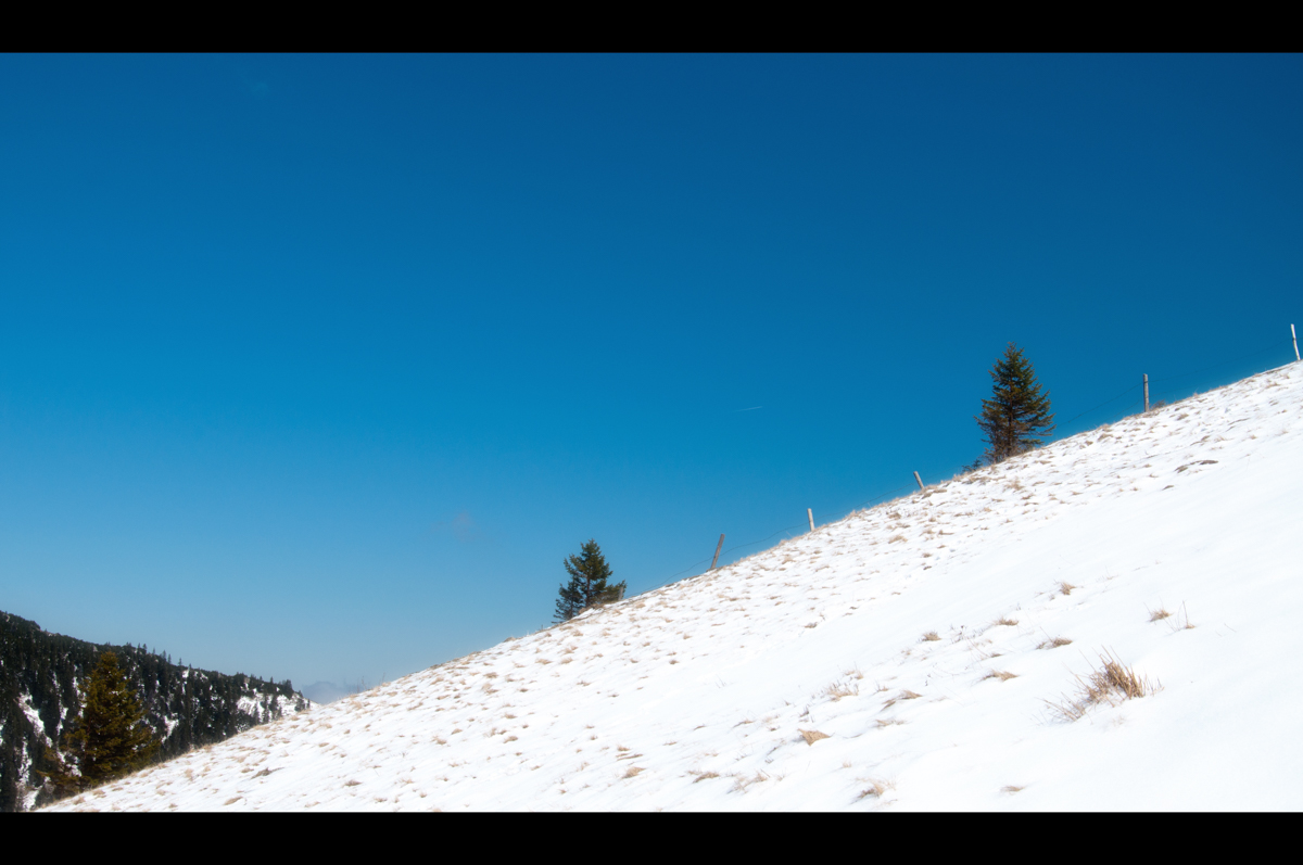 _dsc0334b8ujg.jpg