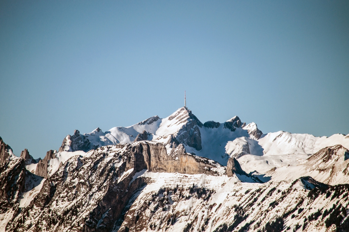 _dsc0335mtjrk.jpg