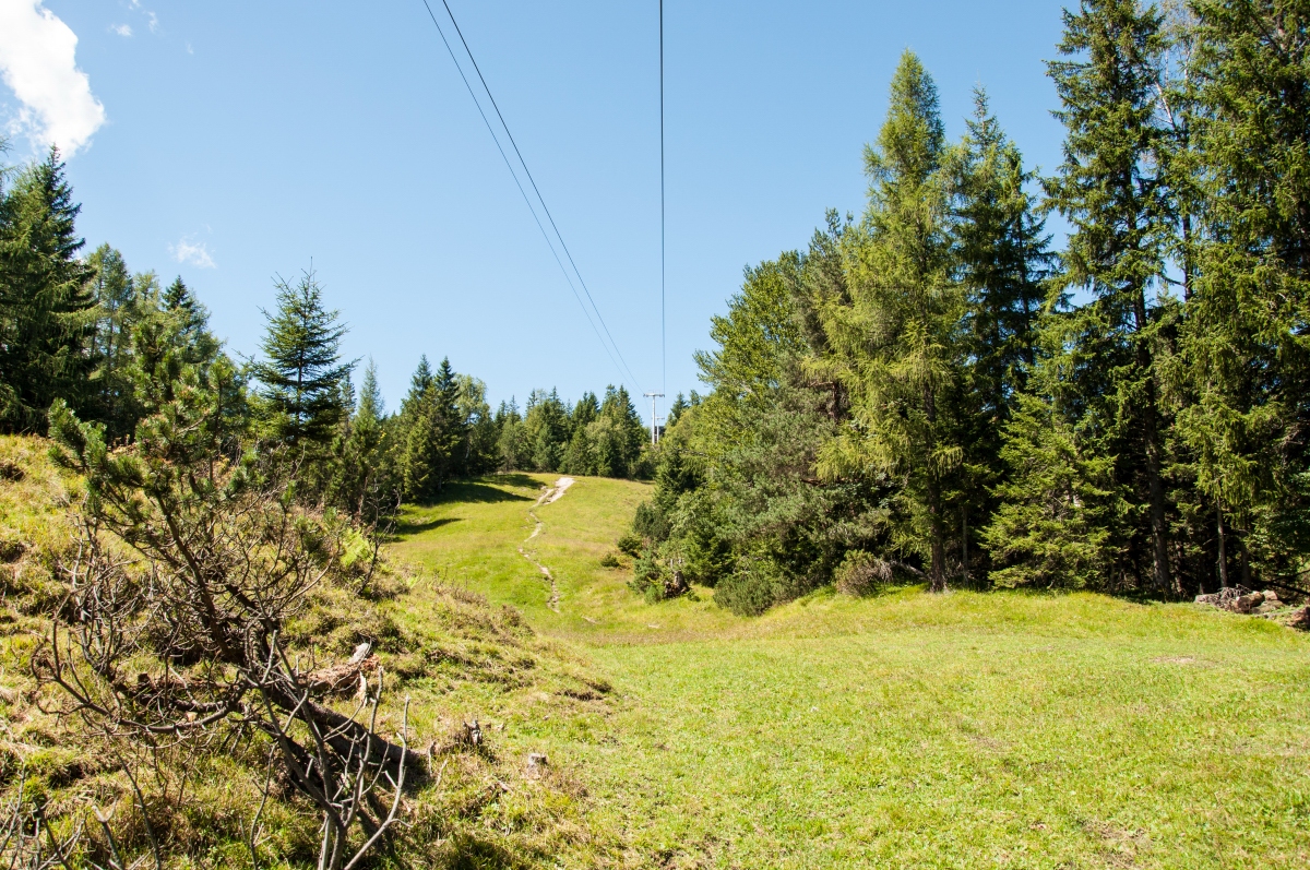 _dsc03373xpzy.jpg