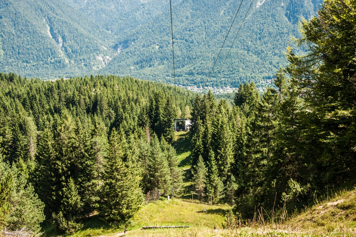 _dsc0338gipu4.jpg