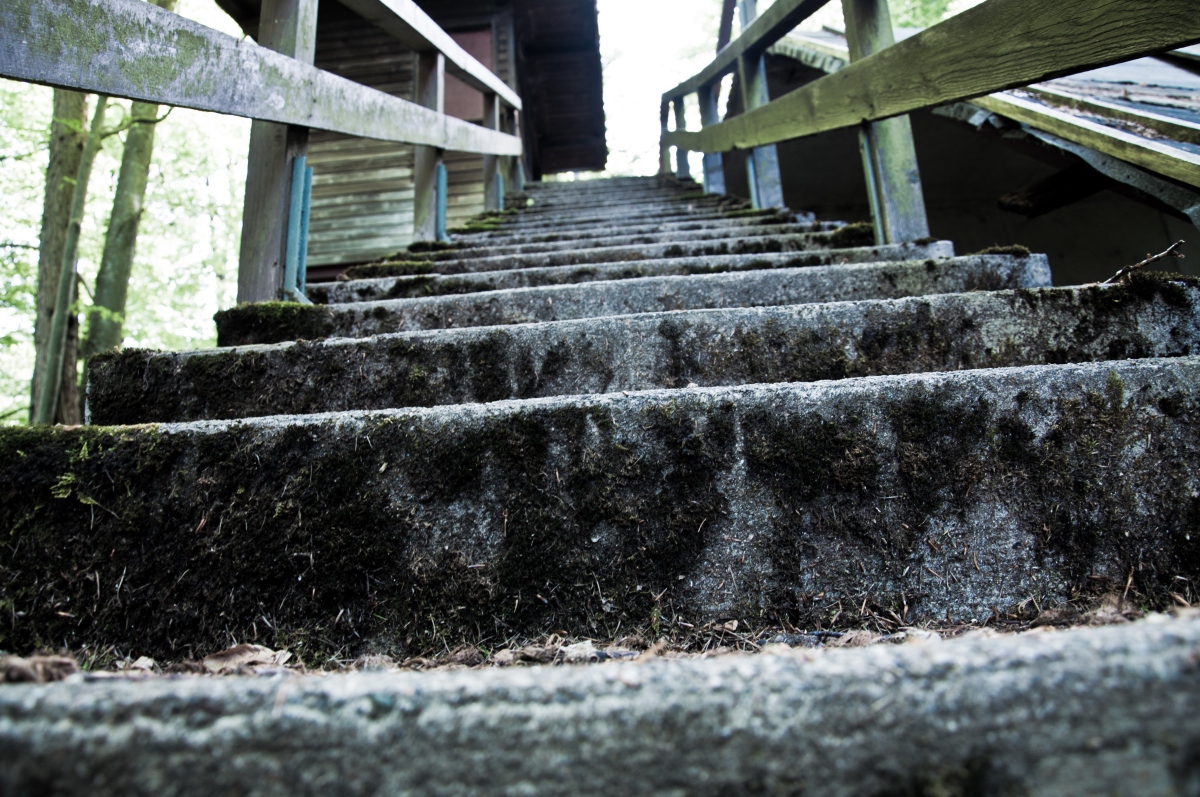 _dsc0341x4f5v.jpg