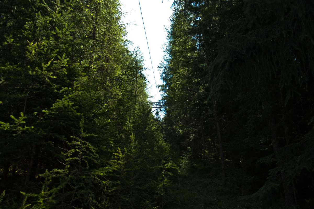 _dsc0348iwju8.jpg