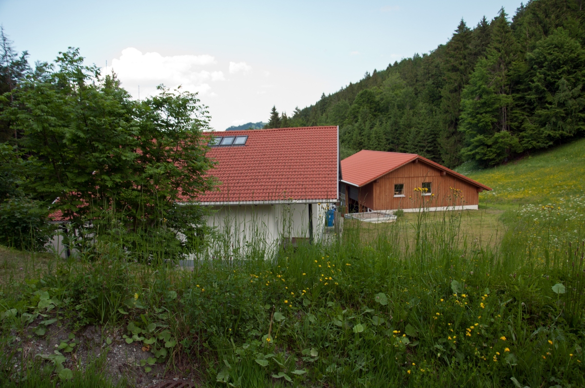_dsc03515kzso.jpg