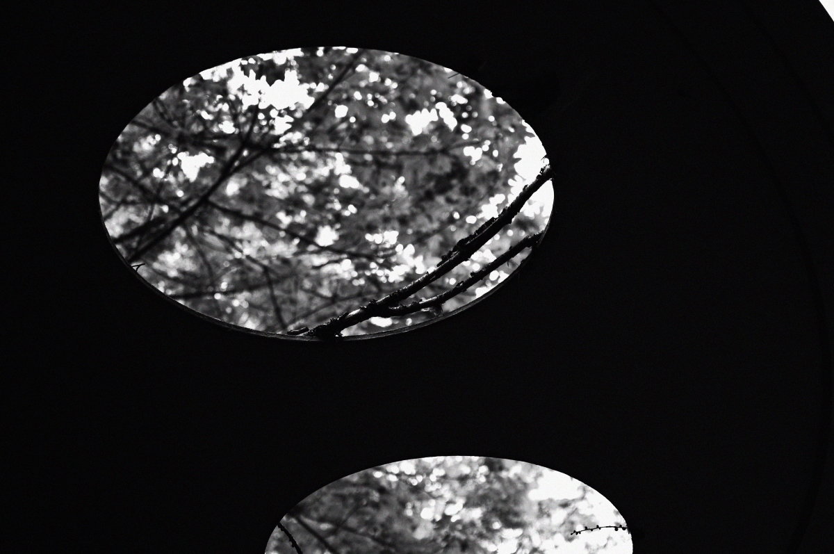 _dsc0351ncicv.jpg