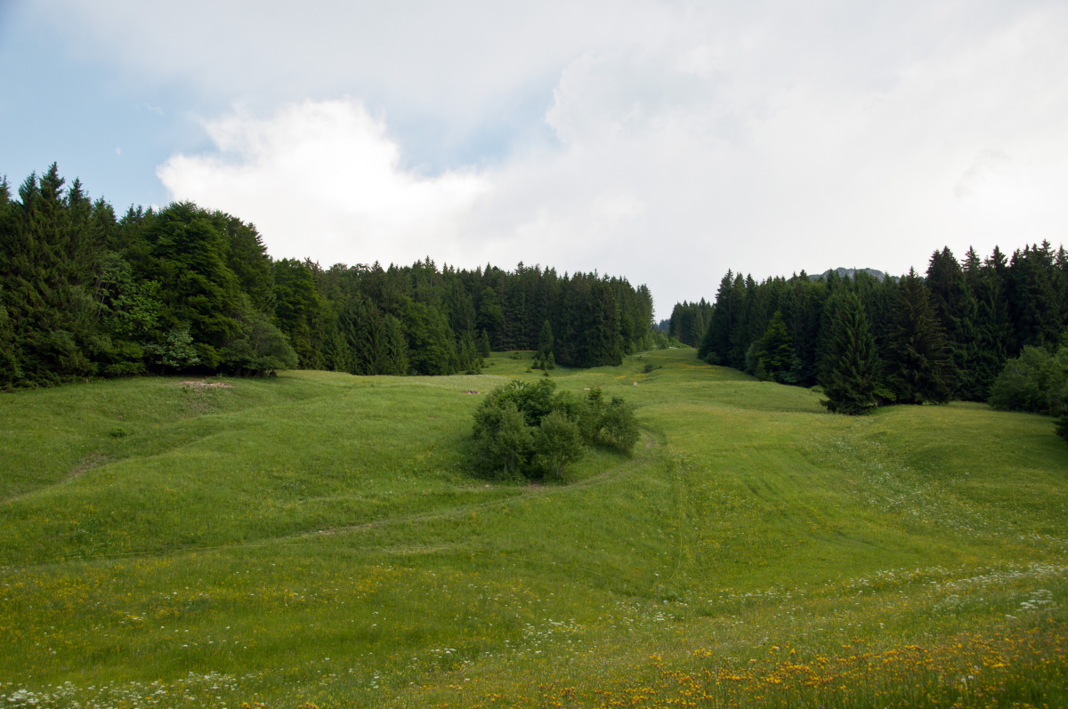 _dsc0353s8b1u.jpg
