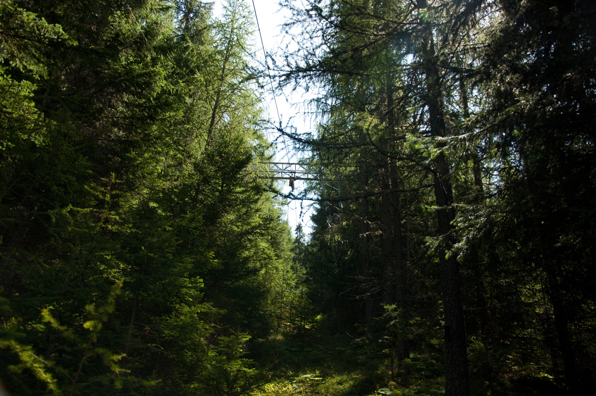 _dsc0354sokqc.jpg