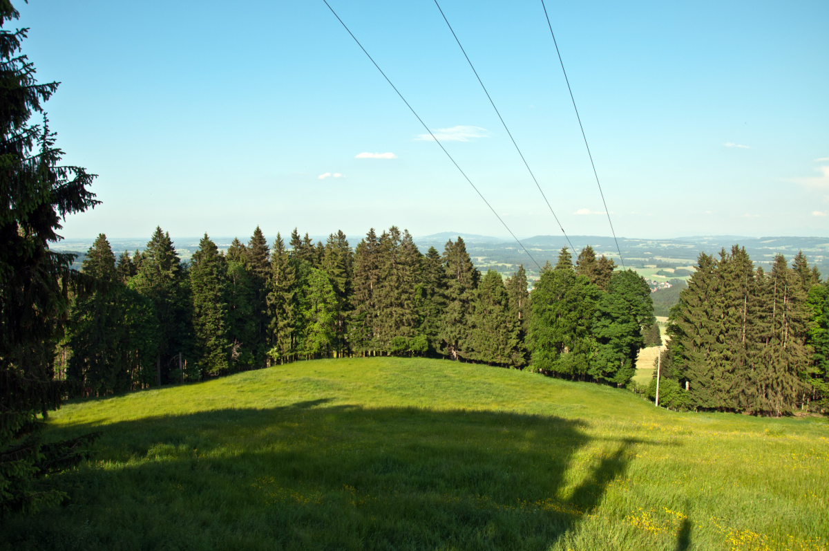 _dsc0354ywa75.jpg