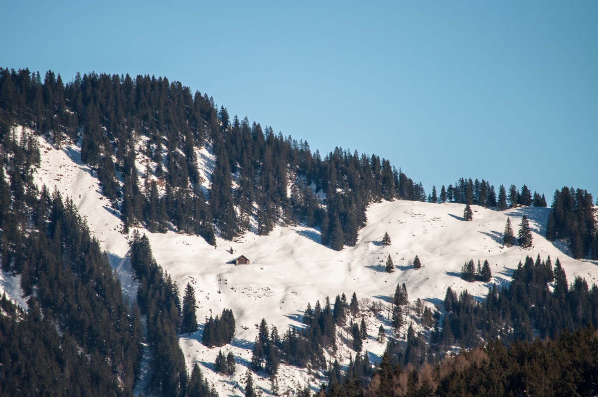 _dsc0358ouk1f.jpg