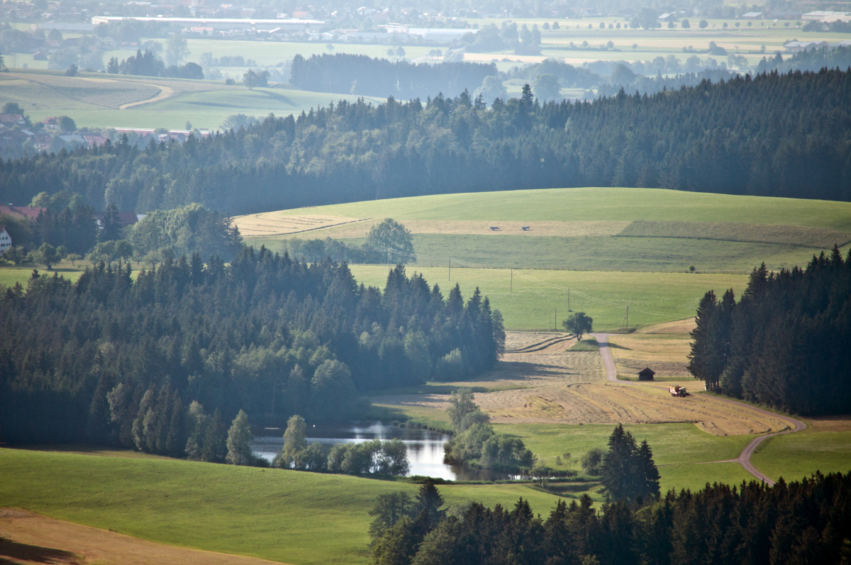 _dsc03602iaox.jpg