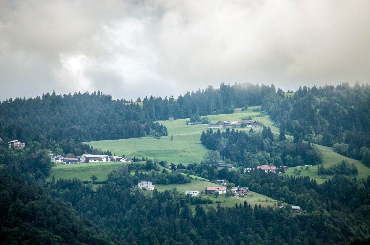 _dsc0362ojr3l.jpg