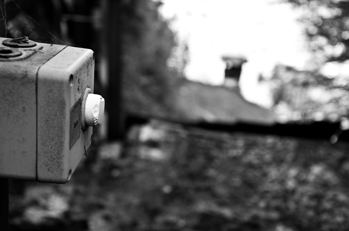 _dsc0363mbbxm.jpg