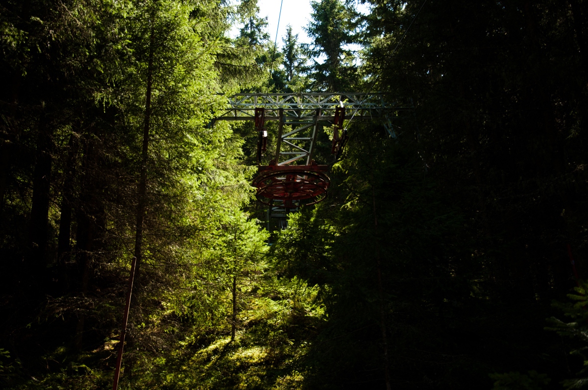 _dsc0364d9kl0.jpg