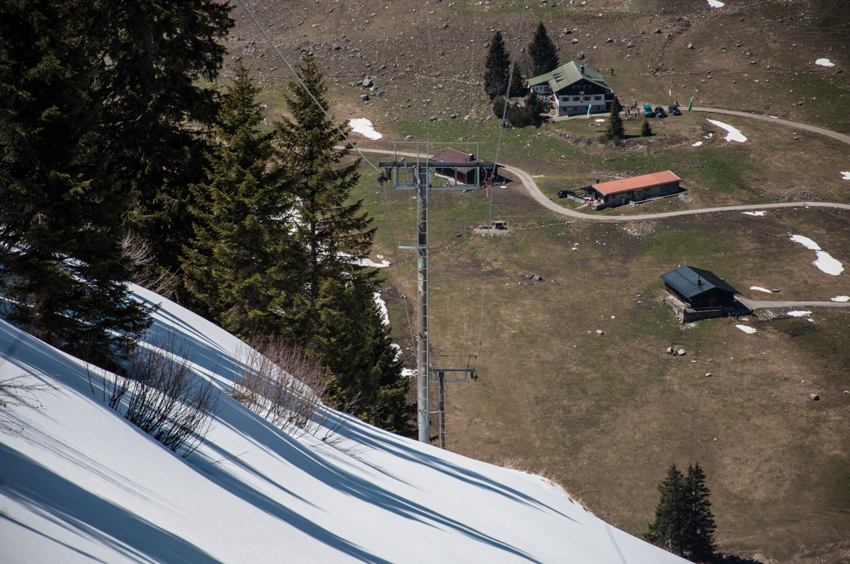 _dsc03709budn.jpg