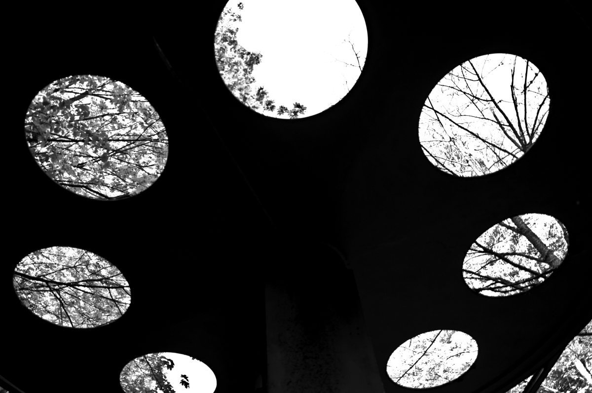 _dsc0370bszmh.jpg