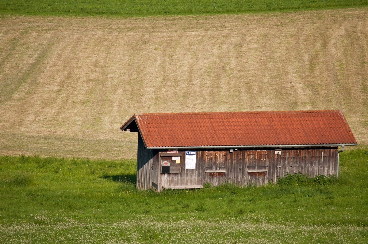 _dsc038460a1h.jpg