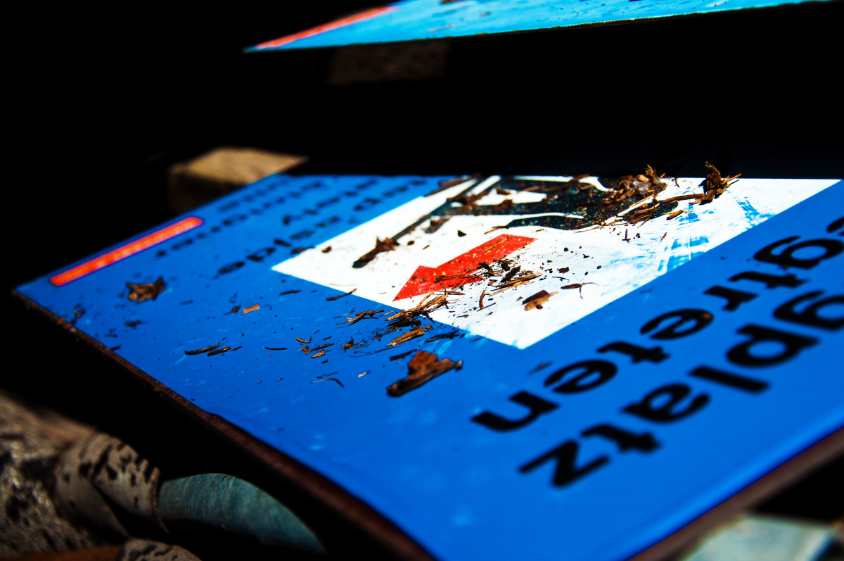 _dsc0387j4jpt.jpg
