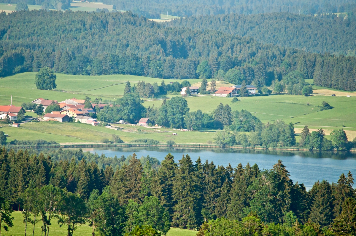 _dsc0391l0acn.jpg