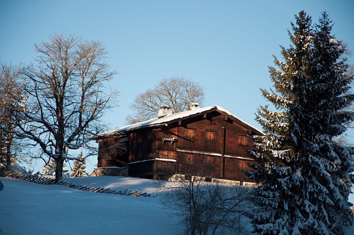 _dsc0393rlu3q.jpg