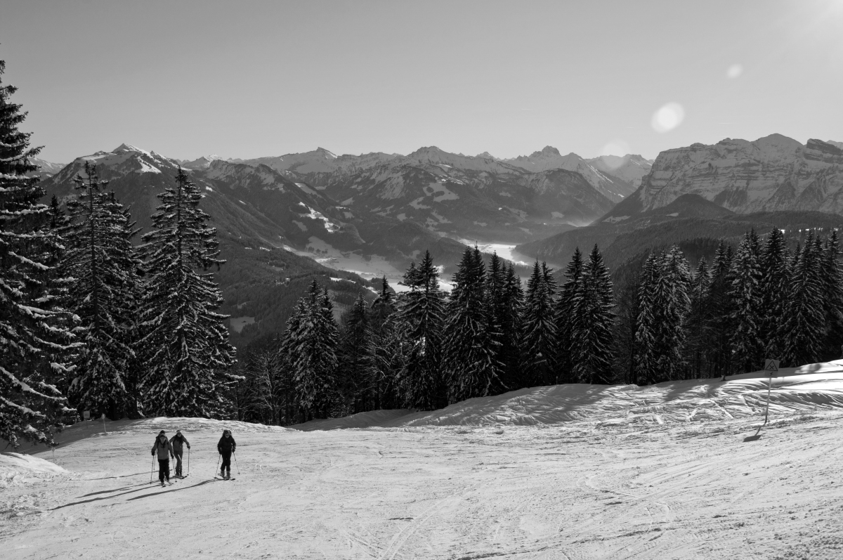 _dsc0394dwudm.jpg