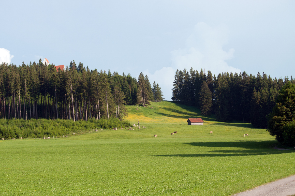 _dsc0394lixc9.jpg