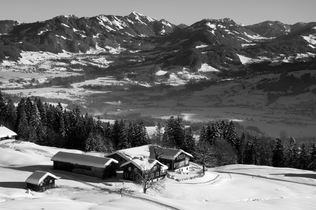 _dsc0400tzuje.jpg