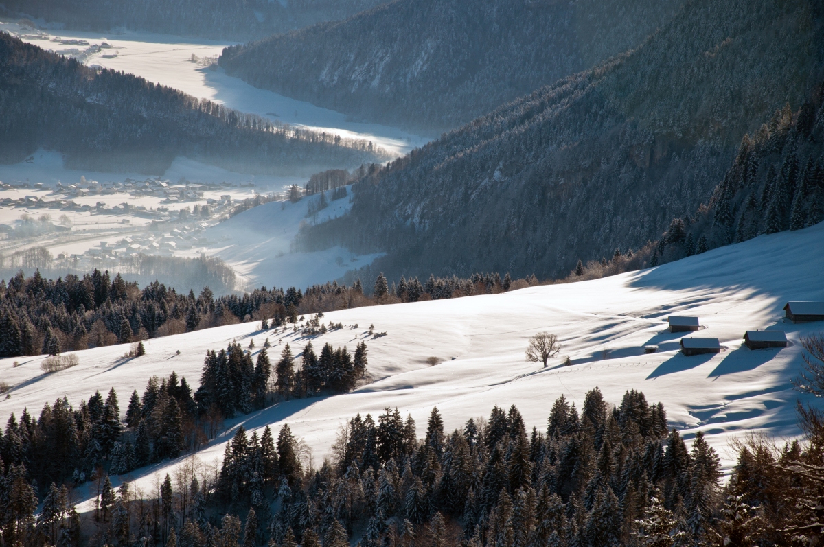 _dsc0417oxuid.jpg