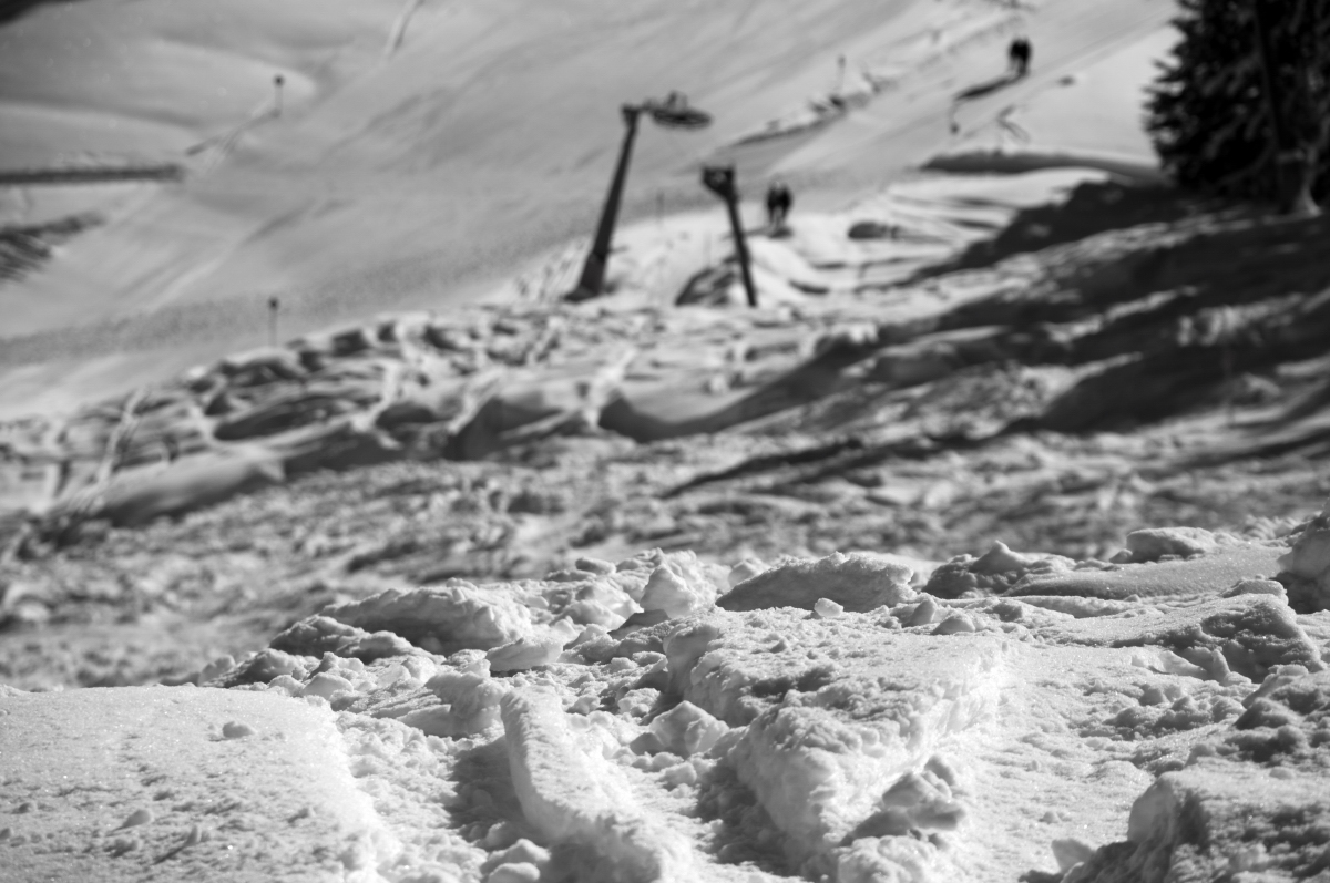 _dsc0418xzujo.jpg