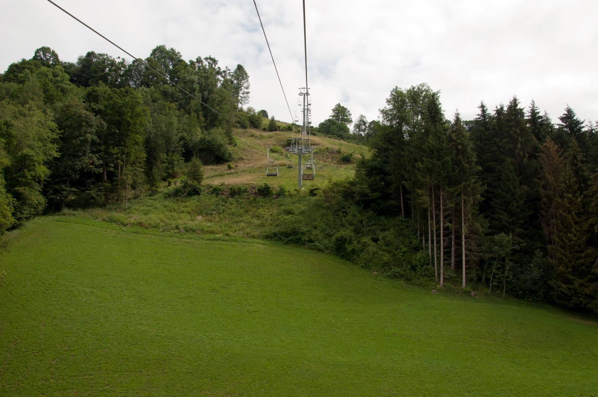 _dsc04253zop3.jpg