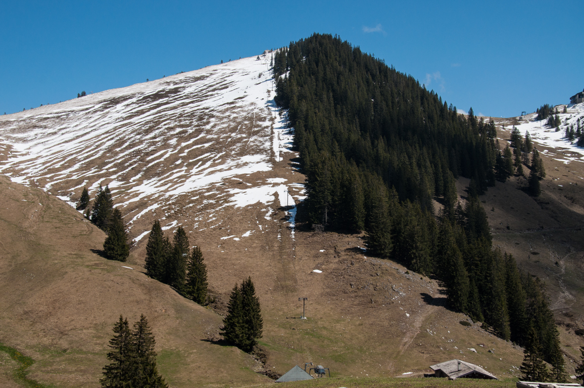 _dsc0433yvslm.jpg