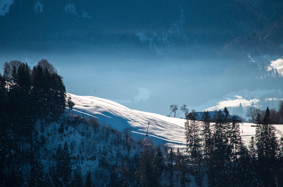 _dsc0460s3km4.jpg
