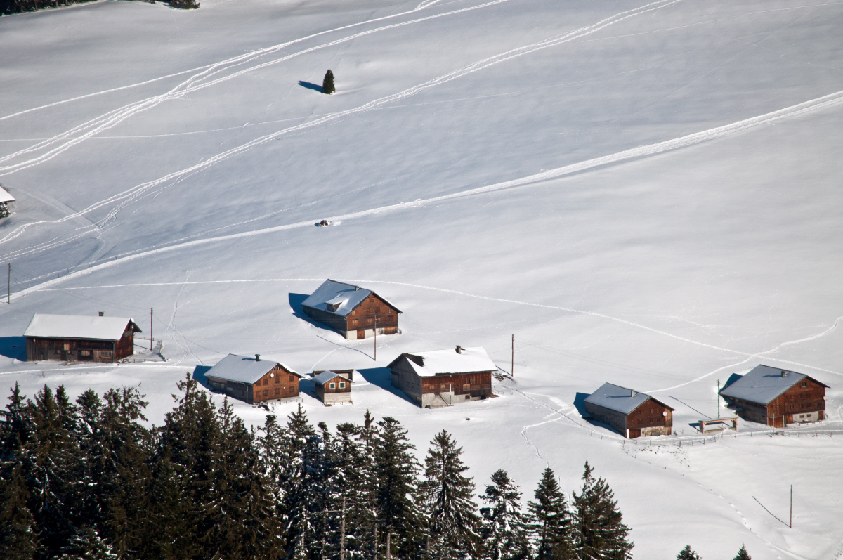 _dsc0467fxkw5.jpg