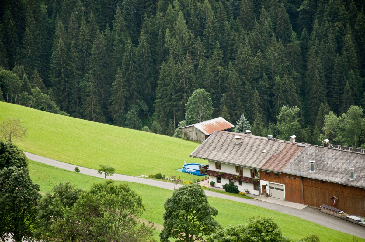 _dsc0468idru7.jpg