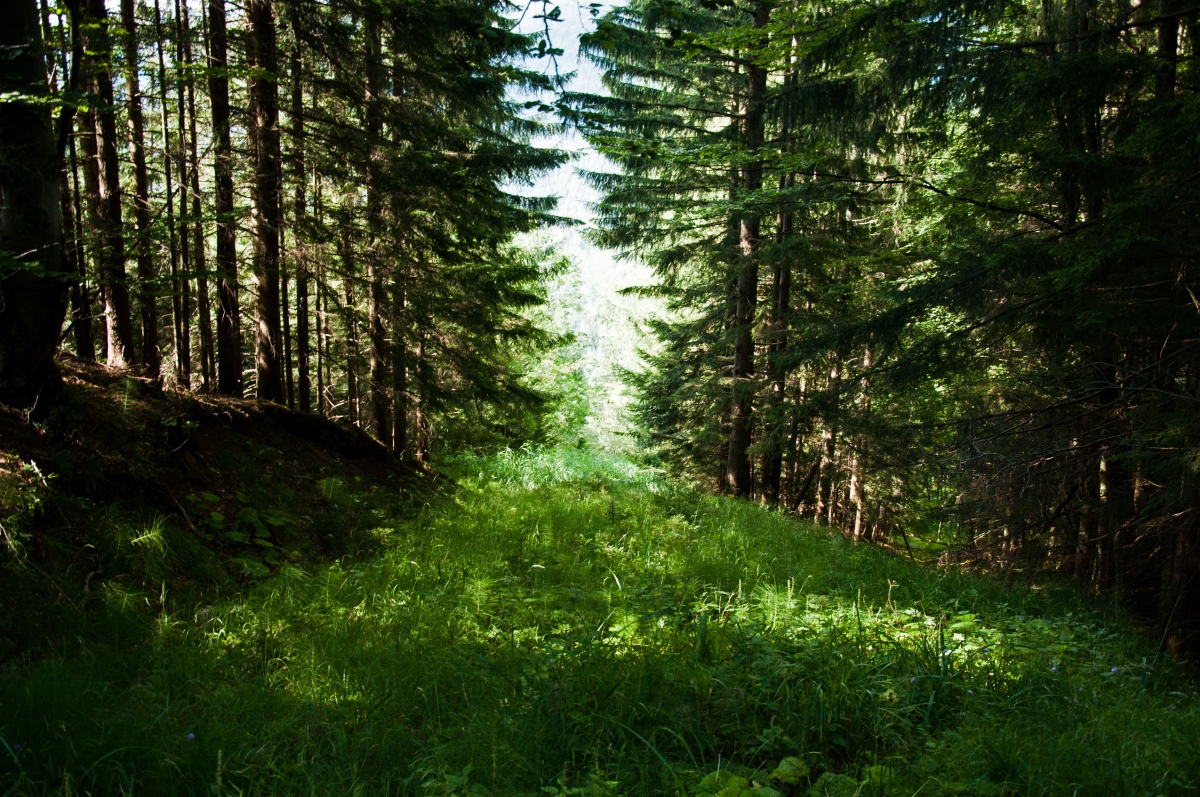_dsc0468qnjnj.jpg