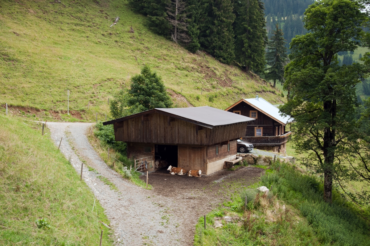 _dsc0477taql3.jpg