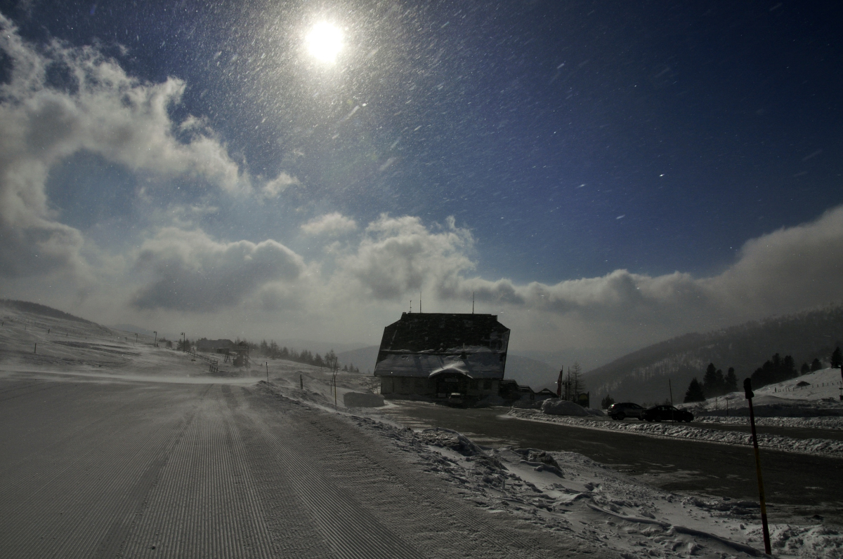 _dsc0478neknf.jpg