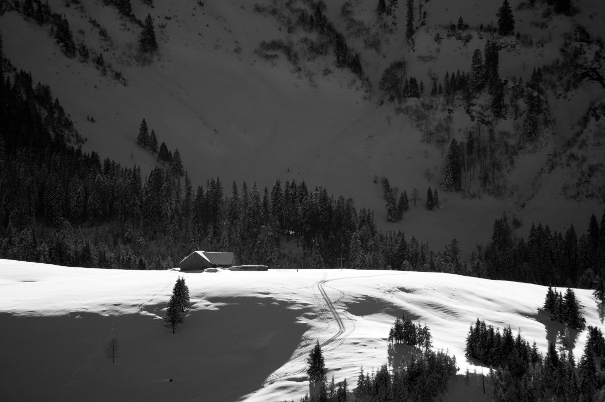 _dsc0481z2ku4.jpg