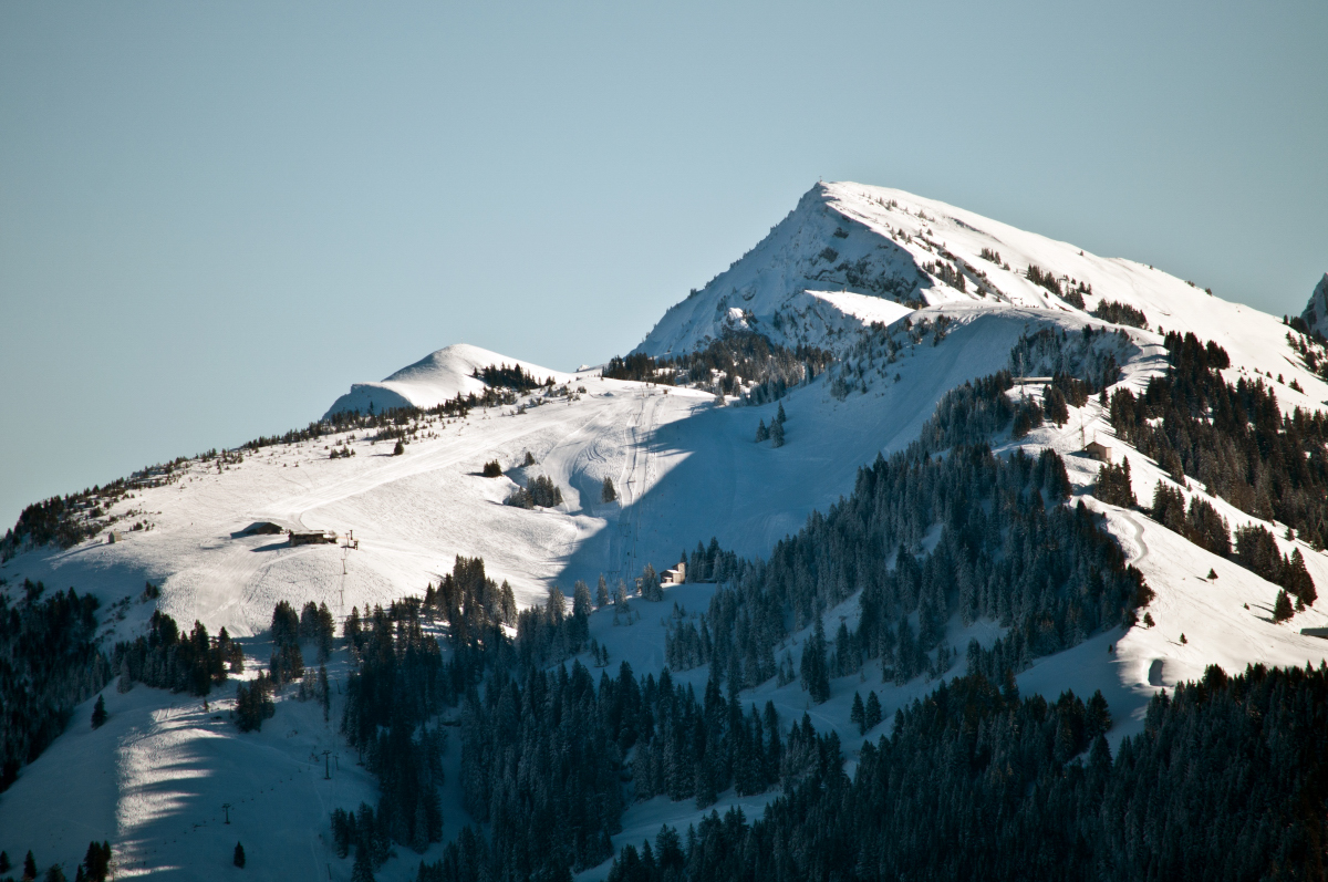 _dsc0482adjsc.jpg