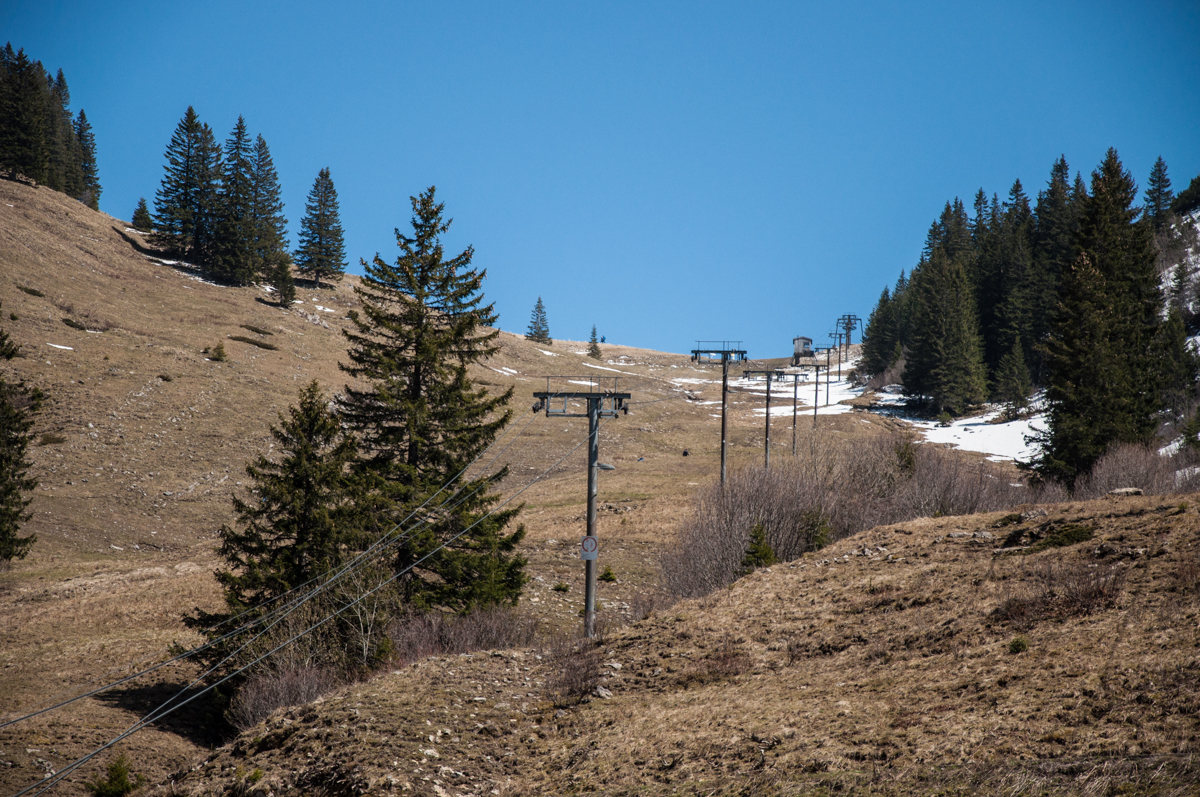 _dsc0484lms42.jpg