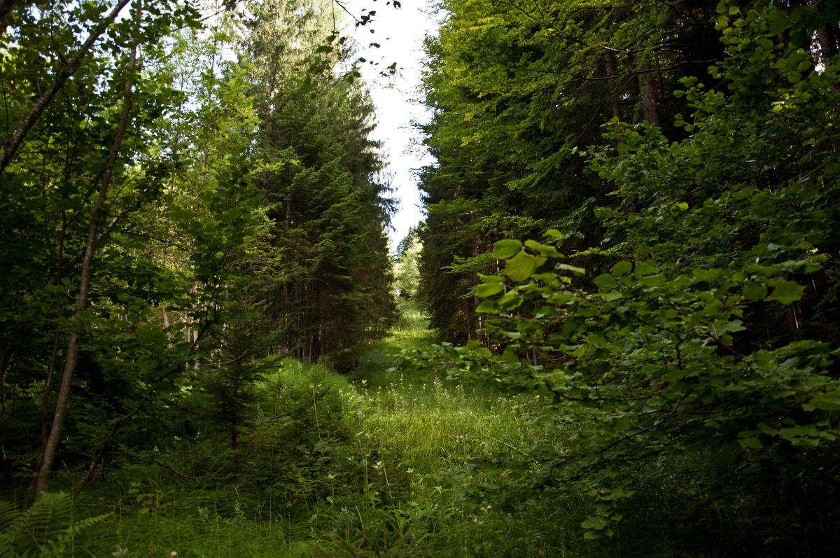 _dsc0486ktjfg.jpg