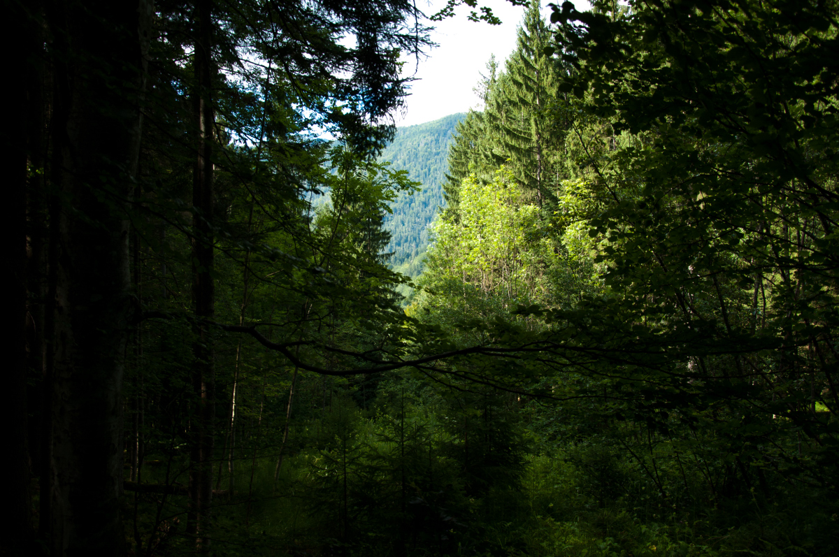 _dsc0487lzjt1.jpg
