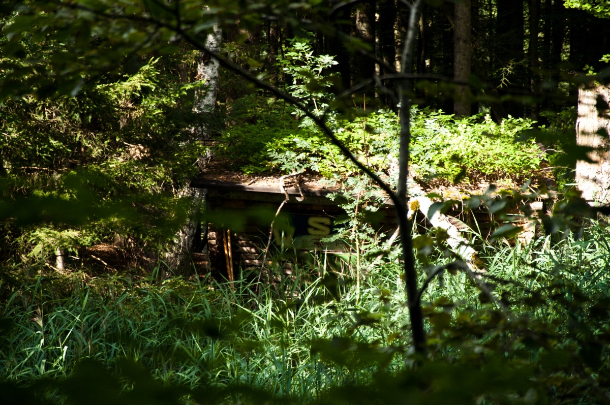 _dsc0490ypkss.jpg