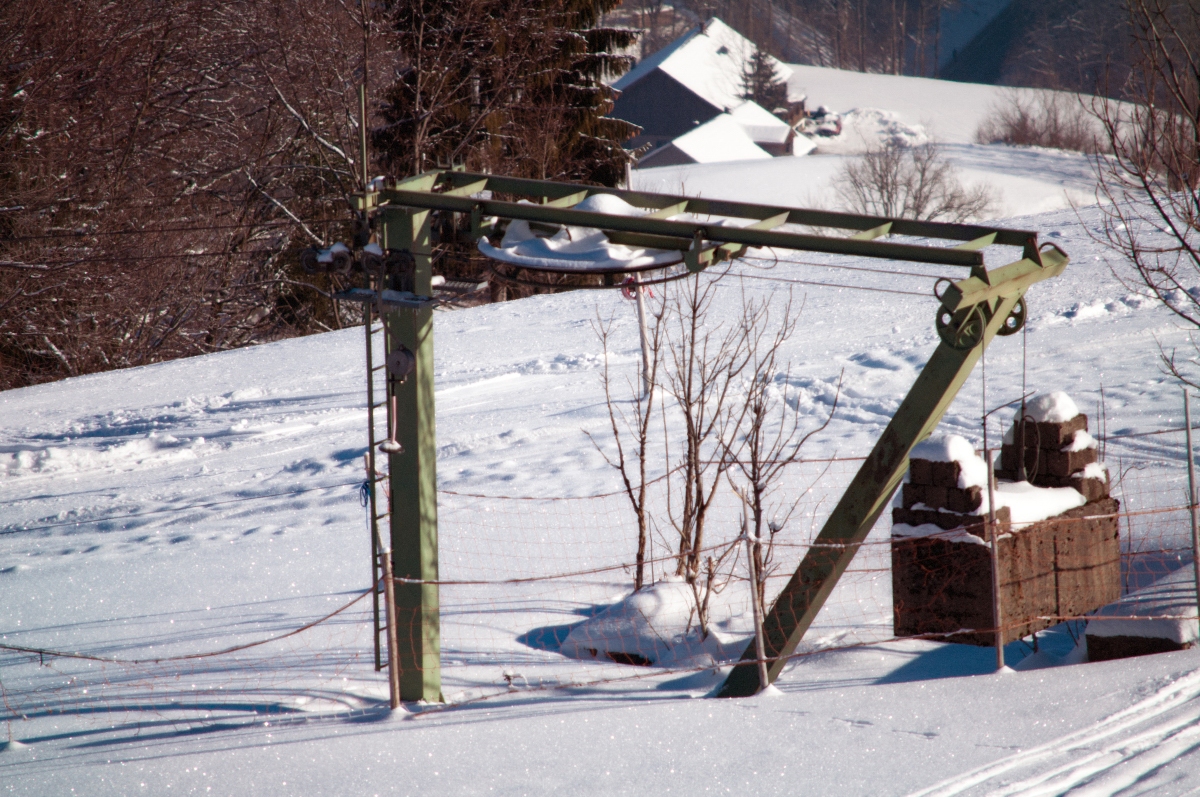 _dsc0499efjgf.jpg