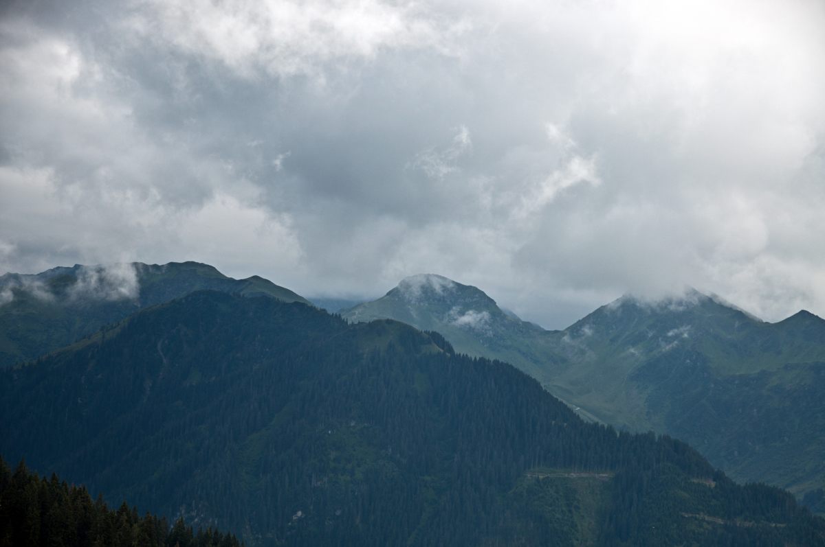_dsc0499o0ptc.jpg