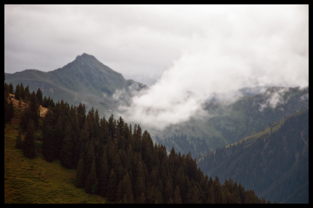 _dsc0502lfpnv.jpg