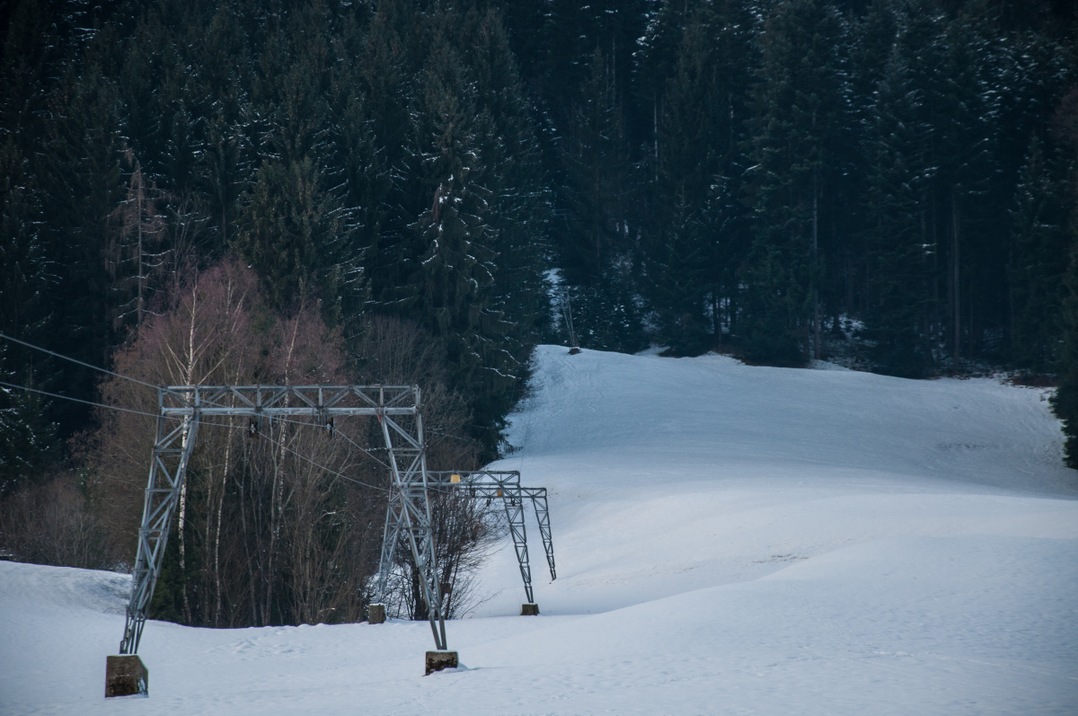 _dsc05036fjfe.jpg