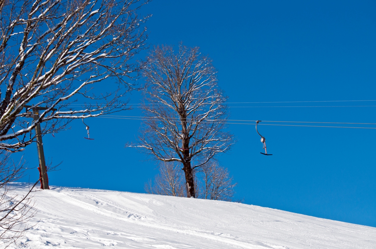 _dsc0505xrkrl.jpg