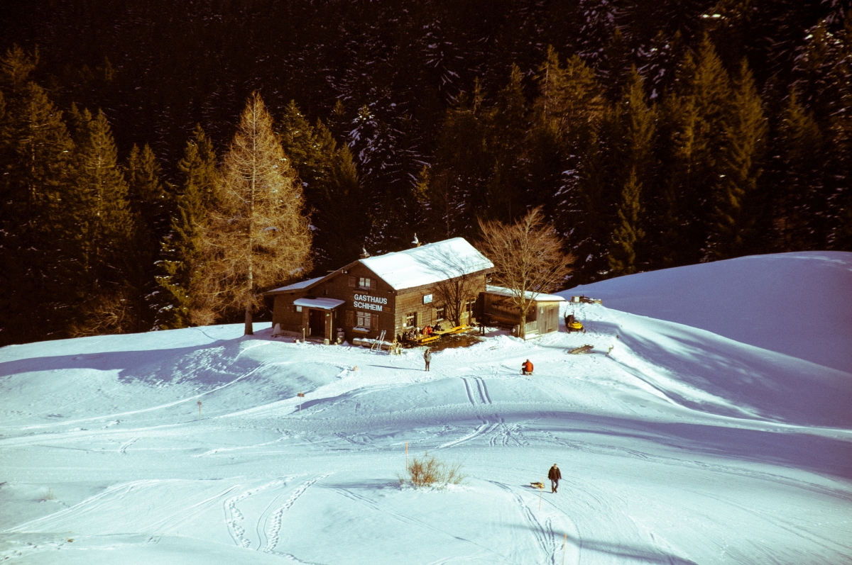 _dsc05076vjw0.jpg