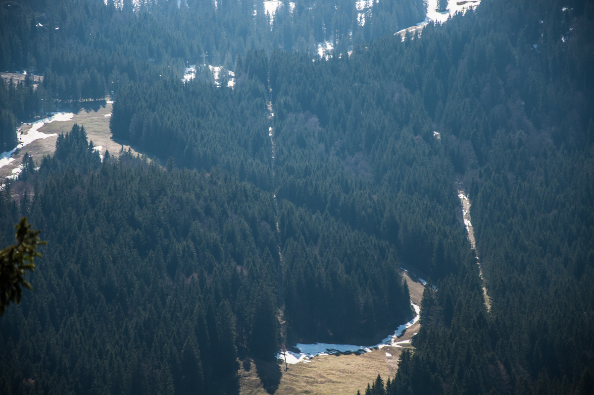 _dsc0508jssto.jpg