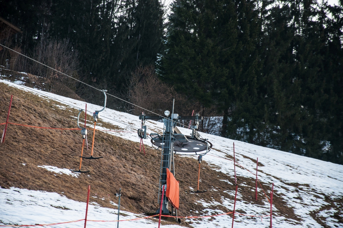 _dsc0520gukzw.jpg